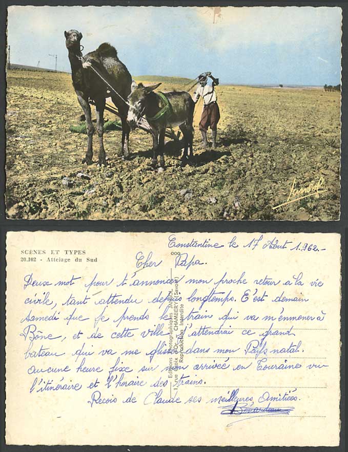 CAMEL, DONKEY & Farmer Ploughing Fields Africa Attelage du Sud 1962 Old Postcard
