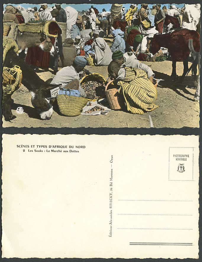 Africa Old Postcard Les Souks Marche aux Dattes Dates Date Market Donkey Sellers