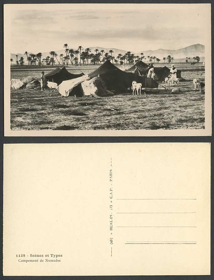 Algeria Old Postcard BISKRA Campement de Nomades Dogs Puppies Tents & Palm Trees