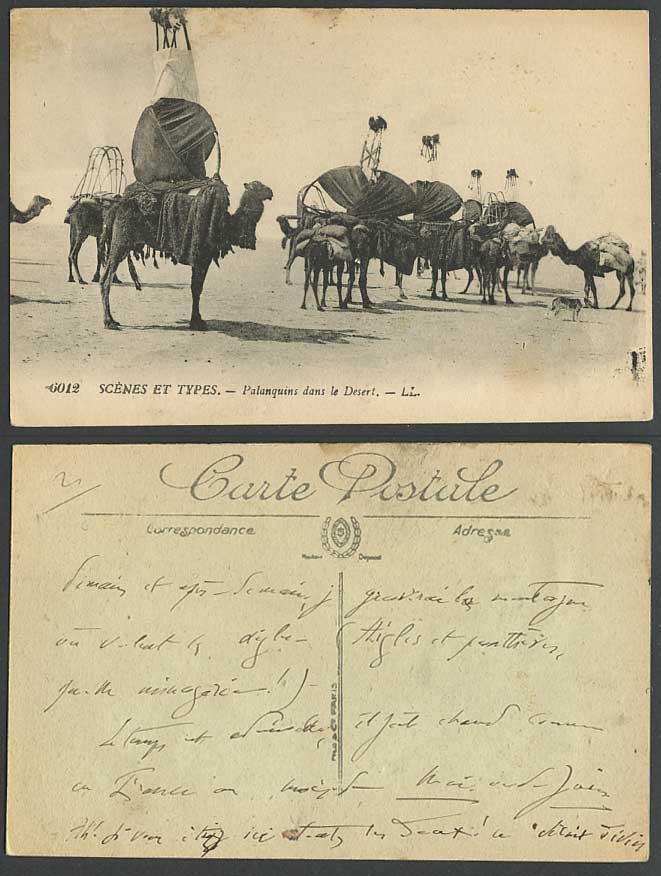 PALANQUINS dans le Desert CAMELS DOG Algeria Africa Animals Old Postcard LL 6012