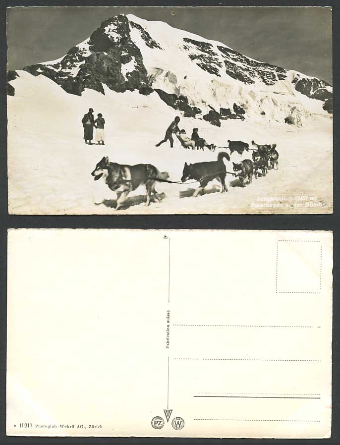 Husky Dogs Huskies Jungfraujoch Polarhunde Monch Glacier Old Real Photo Postcard