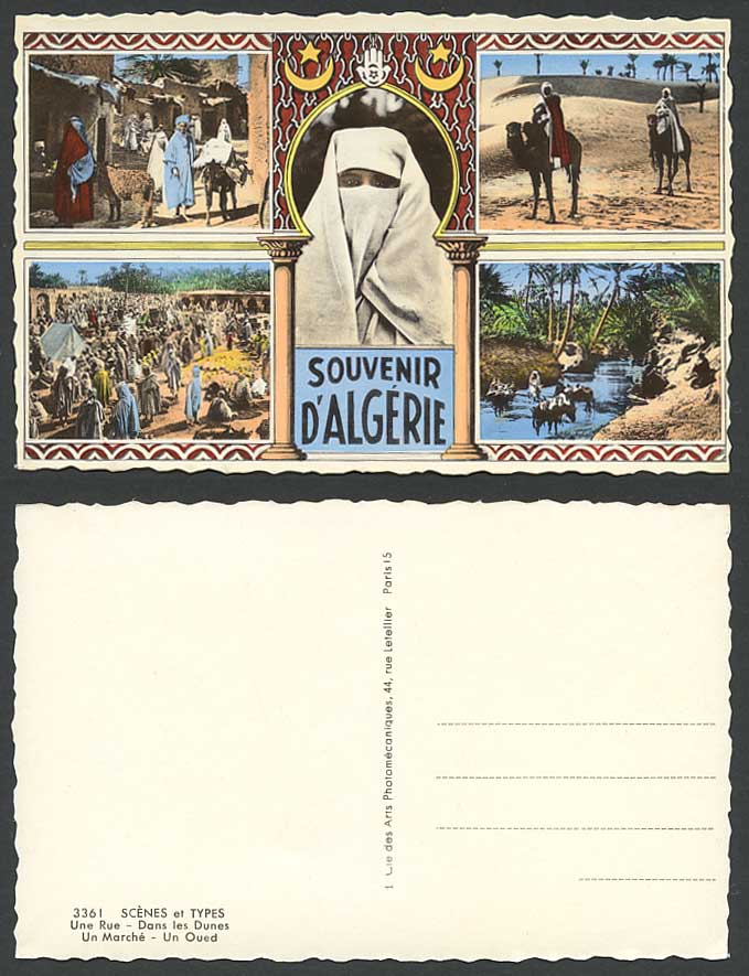 Algeria Old Postcard Camels Market Street Scene Native Veiled Woman Oasis Palms
