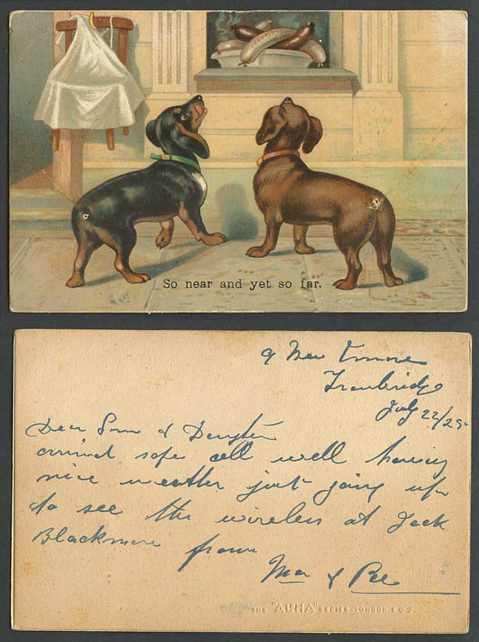 Dachshund German Sausage Dog Puppy Sausages So Near and Yet So Far 1925 Old Card