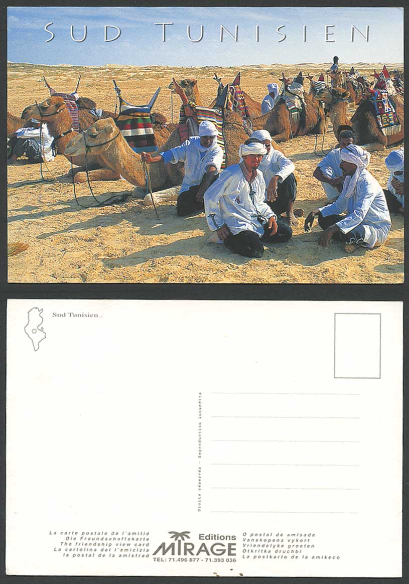 Southern Tunisia 1977 Postcard Camel Camels Native Arab Arabe Arabic Men, Desert