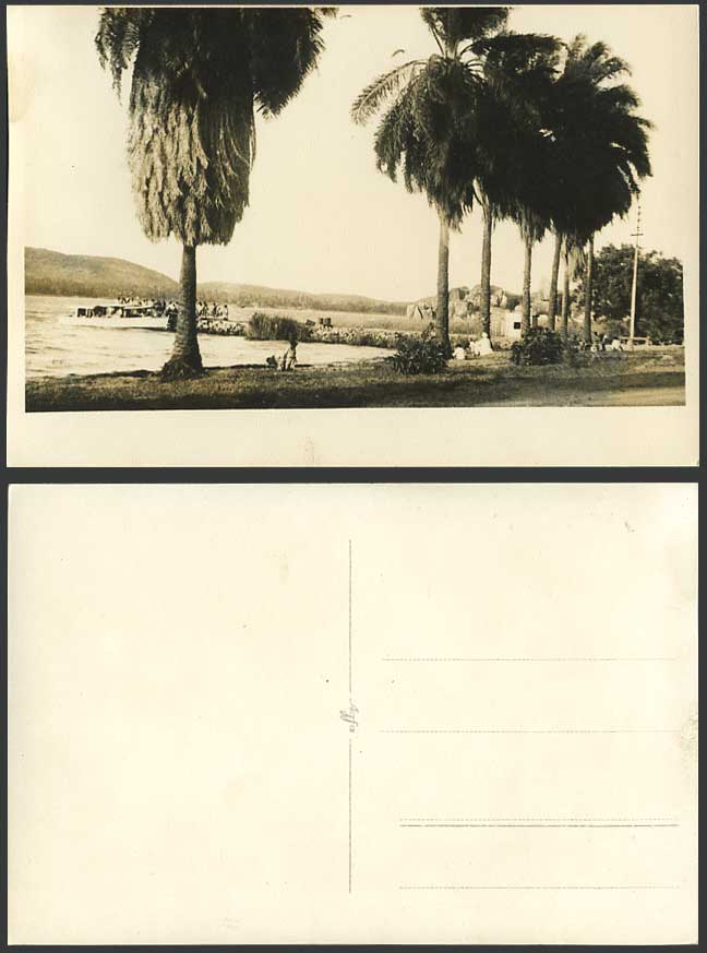 Africa Tunisia Morocco Old Real Photo Postcard Landing Place Quay Boat Palm Tree