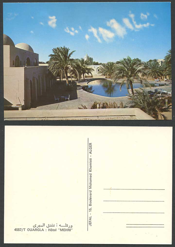 Algeria 1977 Postcard Touggourt, Hotel Mehri, Bathing Swimming Pool, Palm Trees