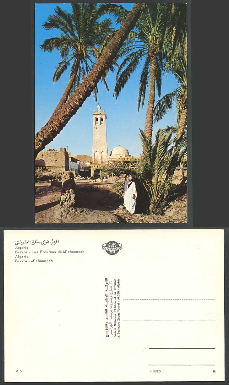 Algeria c1970 Postcard Biskra Les Environs de M'chounech Palm Trees Mosque Tower