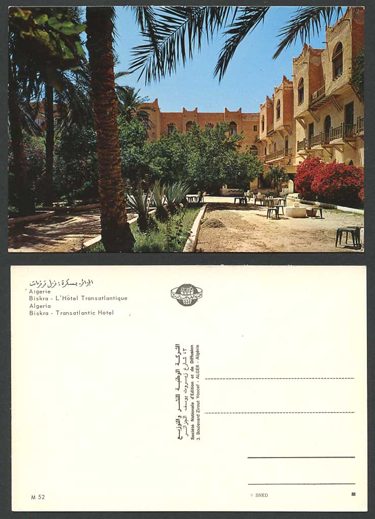 Algeria c1970 Postcard Biskra Transatlantic Hotel L'Hotel Transatlantique Garden