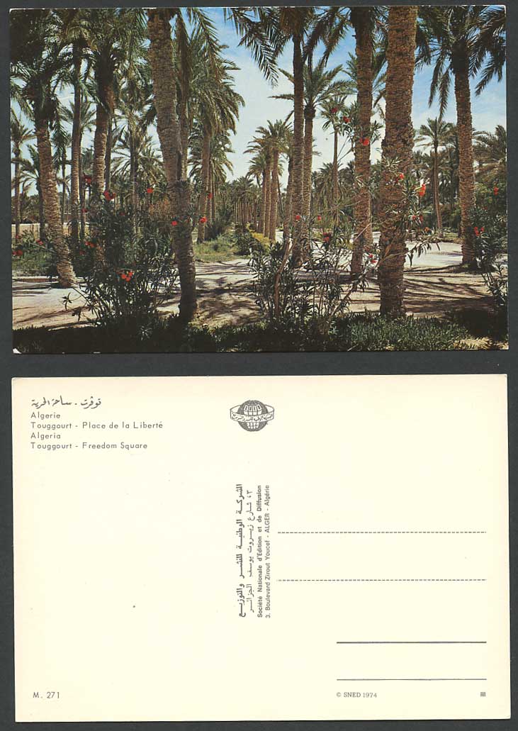 Algeria 1974 Postcard Touggourt, Freedom Square, Place de la Liberte, Palm Trees
