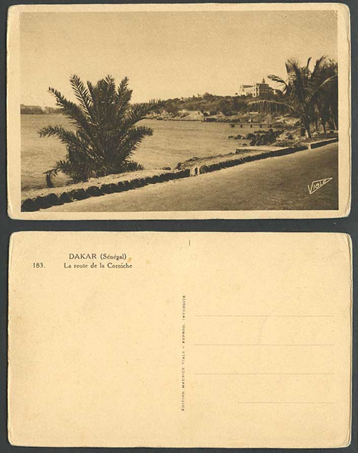 Senegal Old Postcard Dakar La route de la Corniche The Corniche Road, Palm Trees