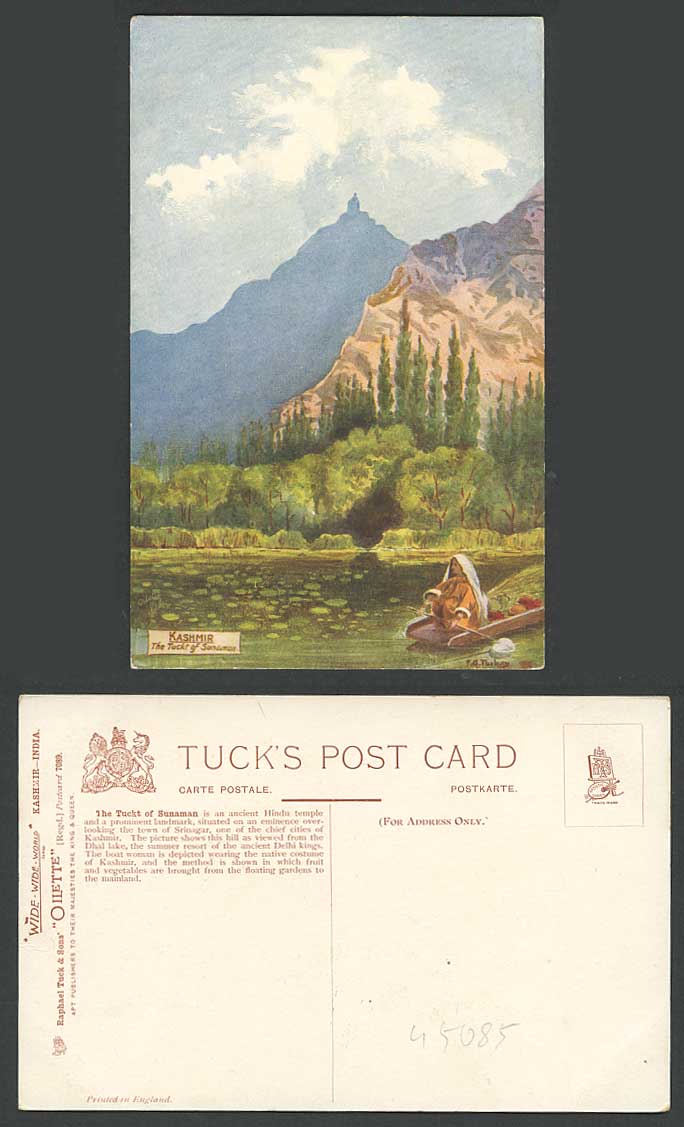 India Old Tuck's Oilette Postcard Tuckt of Sunaman Kashmir Dhal Lake F.G. Tarbay