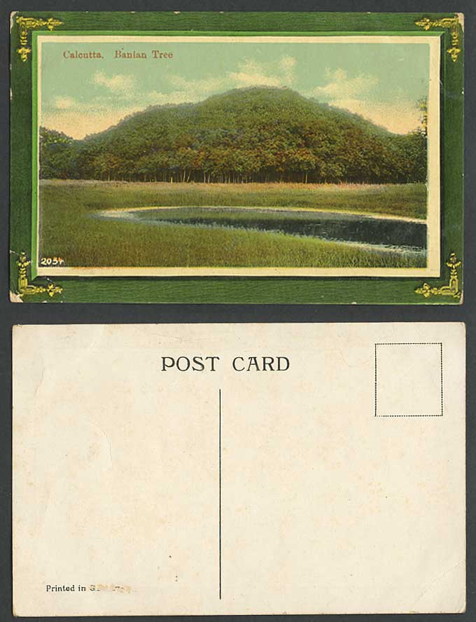 India Old Postcard Lake Banian Tree in Botanical Gardens Calcutta Botanic Garden