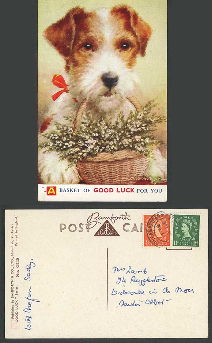 D TEMPEST 1955 Old Postcard Parson Russell Terrier A Basket of Good Luck for You