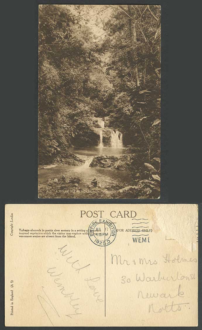 Tobago A River View, Roxburgh 1925 Old Postcard Tropical Vegetation, Water Falls