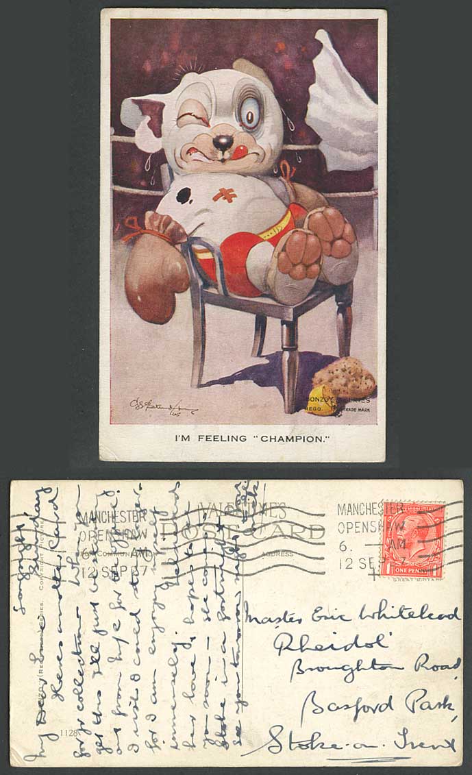 BONZO DOG G.E. Studdy 1937 Old Postcard BOXING, I'm Feeling Champion, Boxer 1128