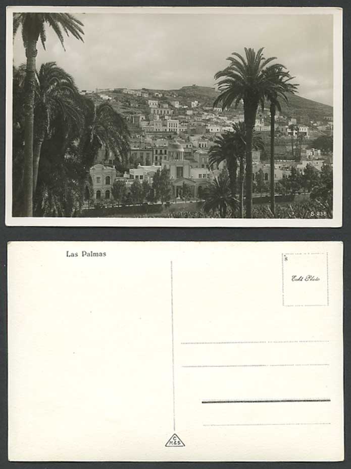 Spain Old Real Photo Postcard Las Palmas, Palm Trees, Hill Street Scene Panorama