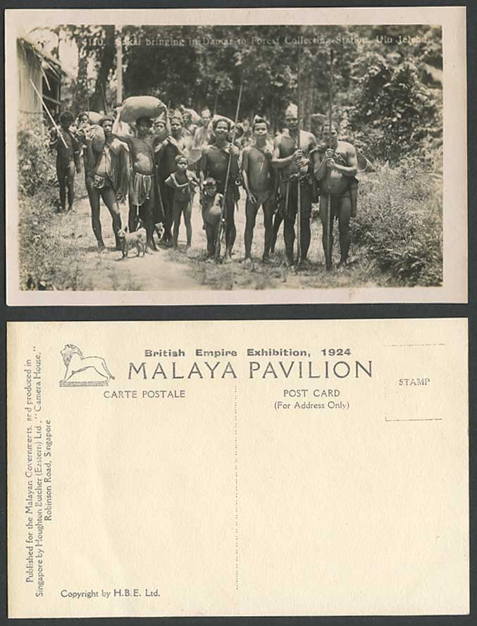 Perak Sakai Bring Damar to Forest Collection Station Ulu Jelebu DOG Old Postcard