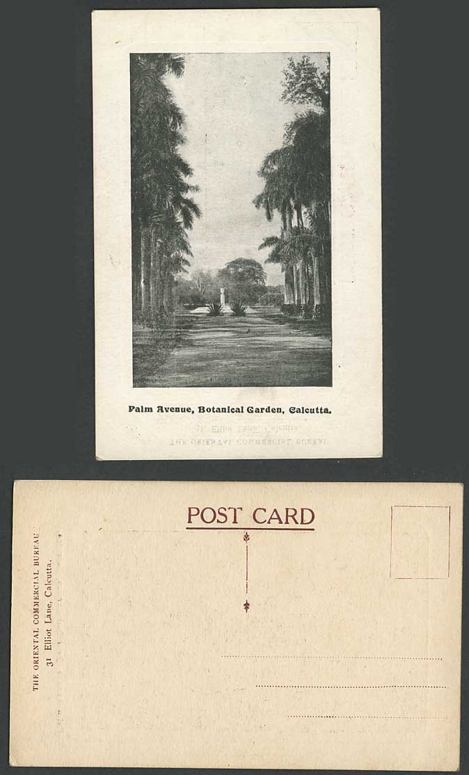 India Old Postcard Palm Avenue Botanical Garden, Calcutta, Botanic Gardens Palms