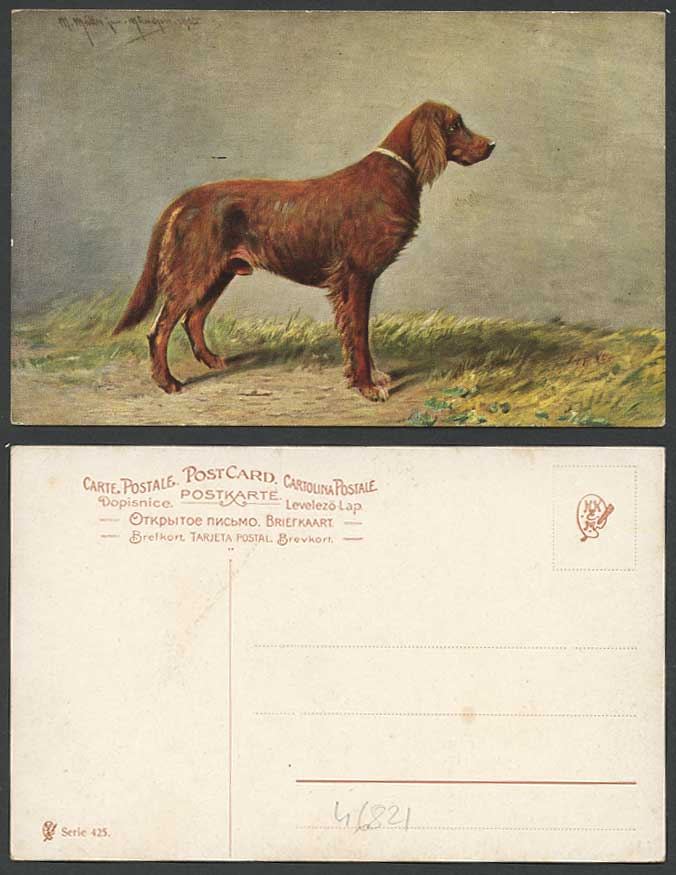 Irish Setter Dog Puppy Pet Artist Signed M. Mueller Munich 1905 Old ART Postcard