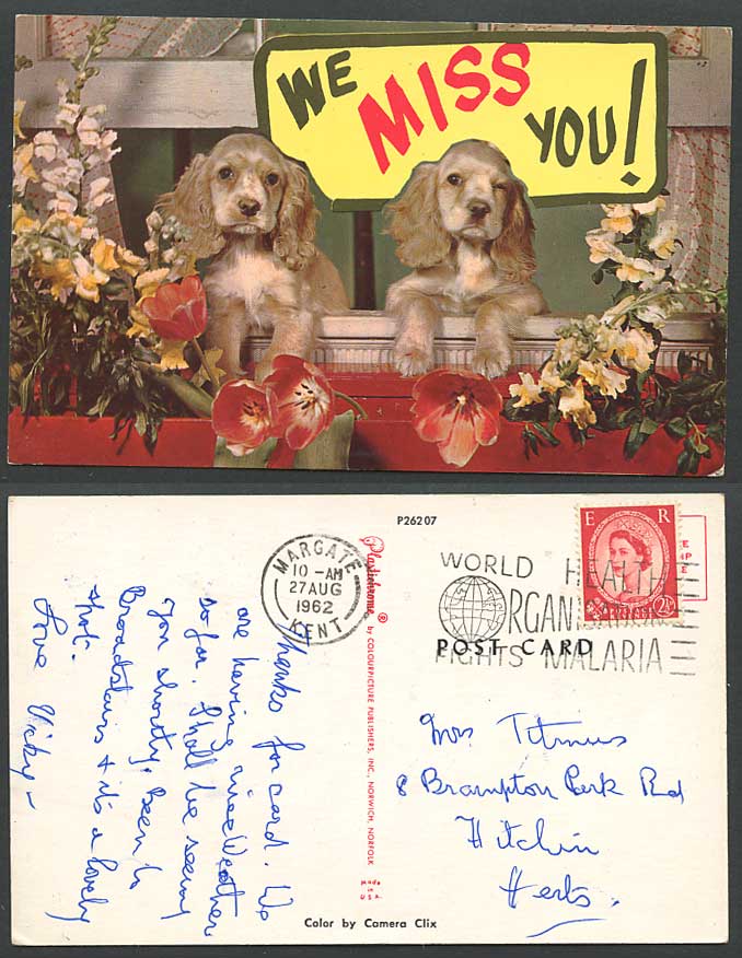 Dog Puppy We Miss You 1962 Old Postcard World Health Organisation Fights Malaria