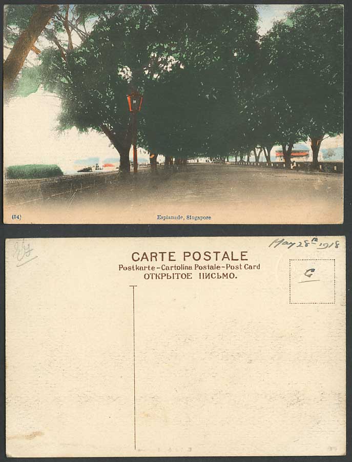 Singapore 1918 Old Hand Tinted Postcard The Esplanade Tree-Lined Street Scene 54