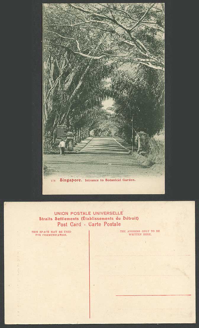 Singapore Old Postcard Entrance to Botanical Garden Botanic Gardens Trees Avenue