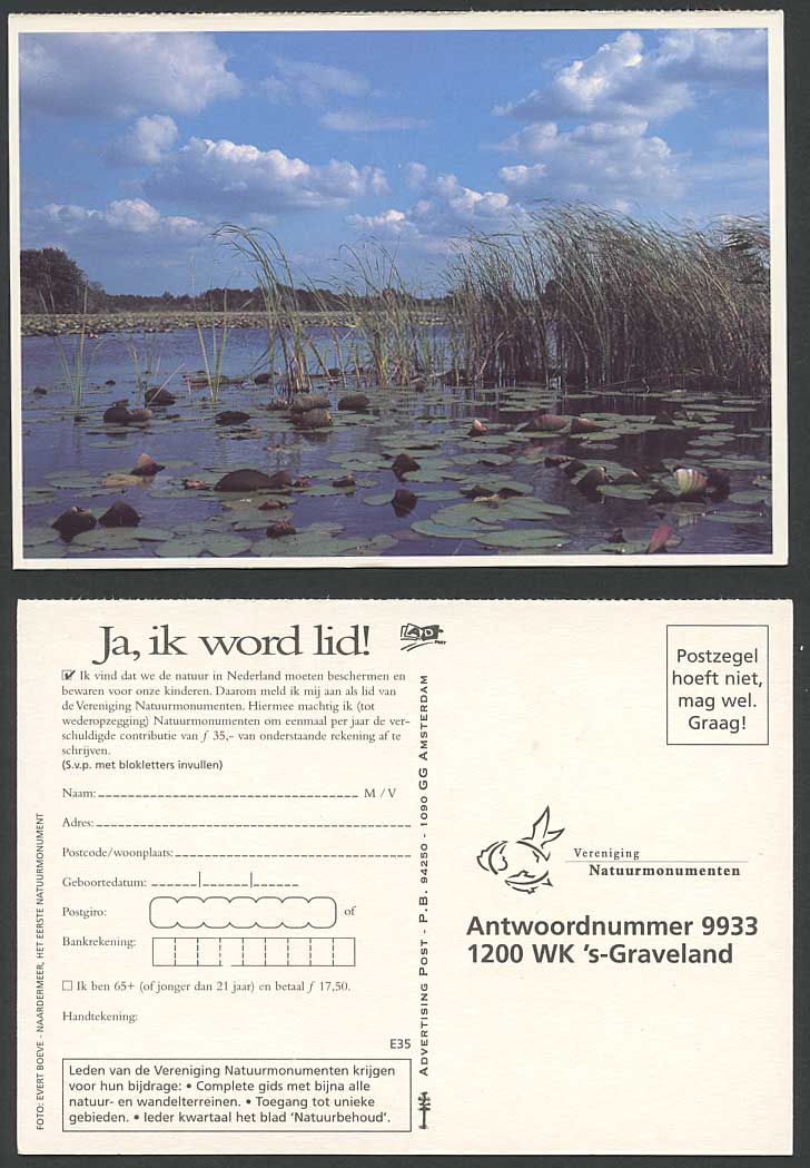 Natuurmonumenten, Waterlily Waterlilies Reed Lake River Scene Advertise Postcard