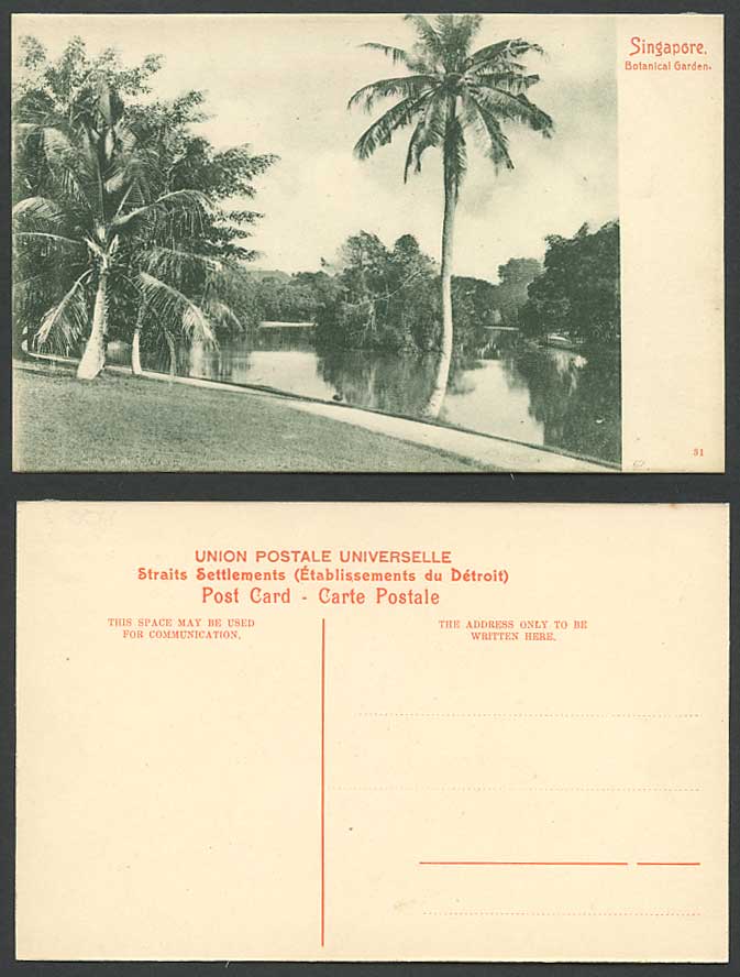 Singapore Old Postcard Botanic Garden Palm Tree Trees Lake Botanical Gardens 31.