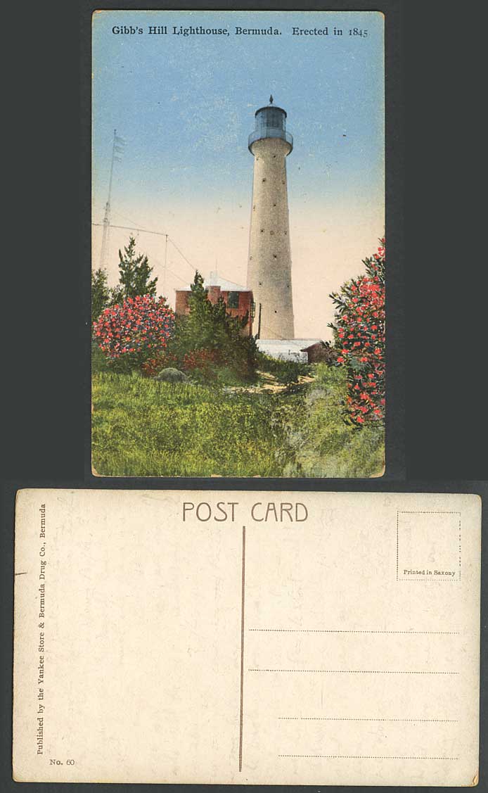 Bermuda Old Colour Postcard Gibb's Hill Iron Lighthouse, Erected in 1845 Flowers