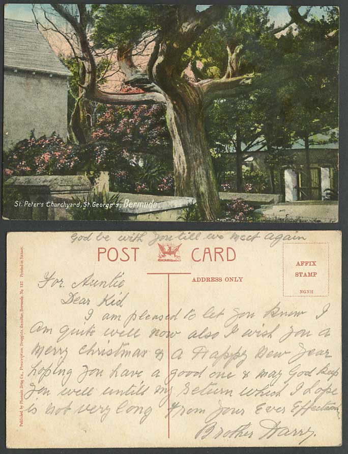 Bermuda Old Colour Postcard St. Peter's Churchyard St. George's, Trees & Flowers