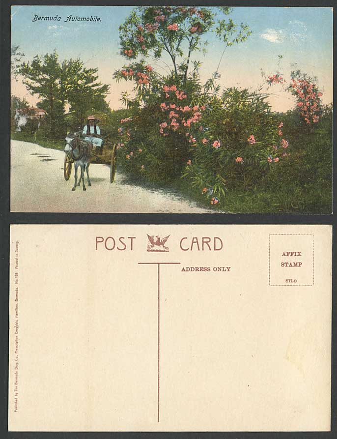 Bermuda Automobile Old Colour Postcard Native Horse Donkey Cart, Street, Flowers