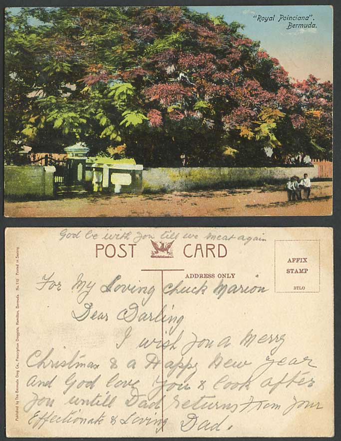 Bermuda Old Colour Postcard Royal Poinciana Blooming Trees Flowers Entrance Gate