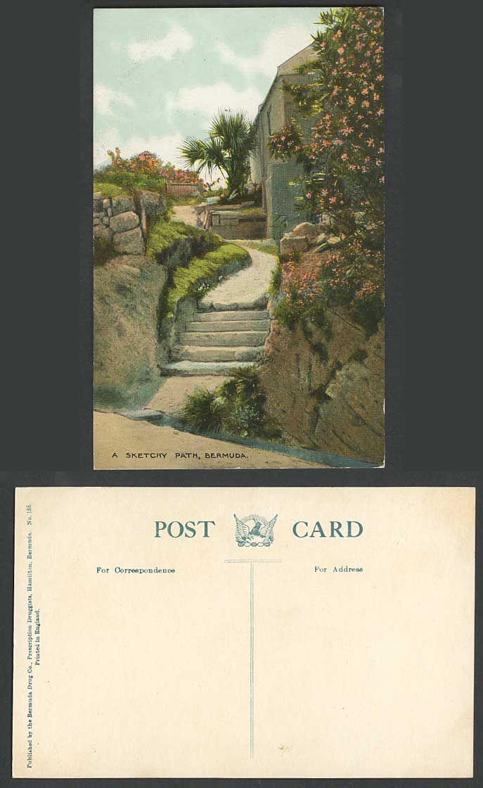 Bermuda Old Colour Postcard A Sketchy Path Flowers Stone Steps Palm Trees No.155