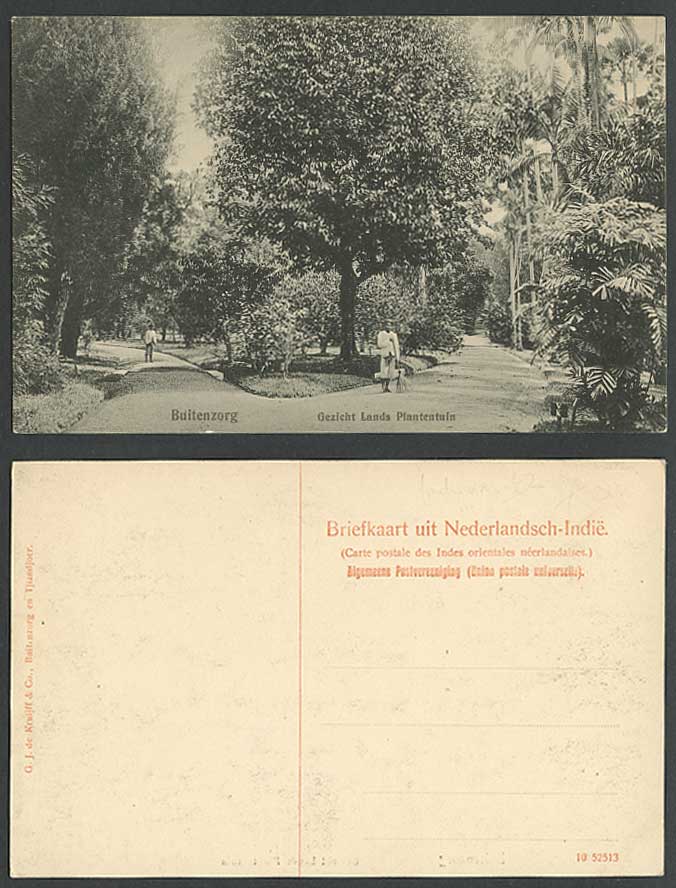 Indonesia Buitenzorg Old Postcard Gezicht Lands Plantentuin Botanic Garden D.E.I