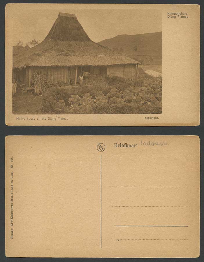 Indonesia Old Postcard Native House on Dieng Plateau Kamponghuis Java Ned Indies