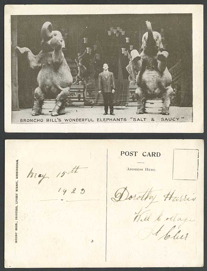Elephant Broncho Bill's Wonderful Elephants Salt, Saucy Circus 1923 Old Postcard