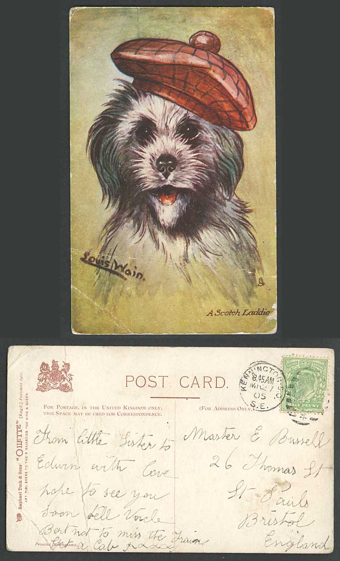 Louis Wain Artist Signed Dog A Scotch Laddie Tuck's Oilette KE 1905 Old Postcard