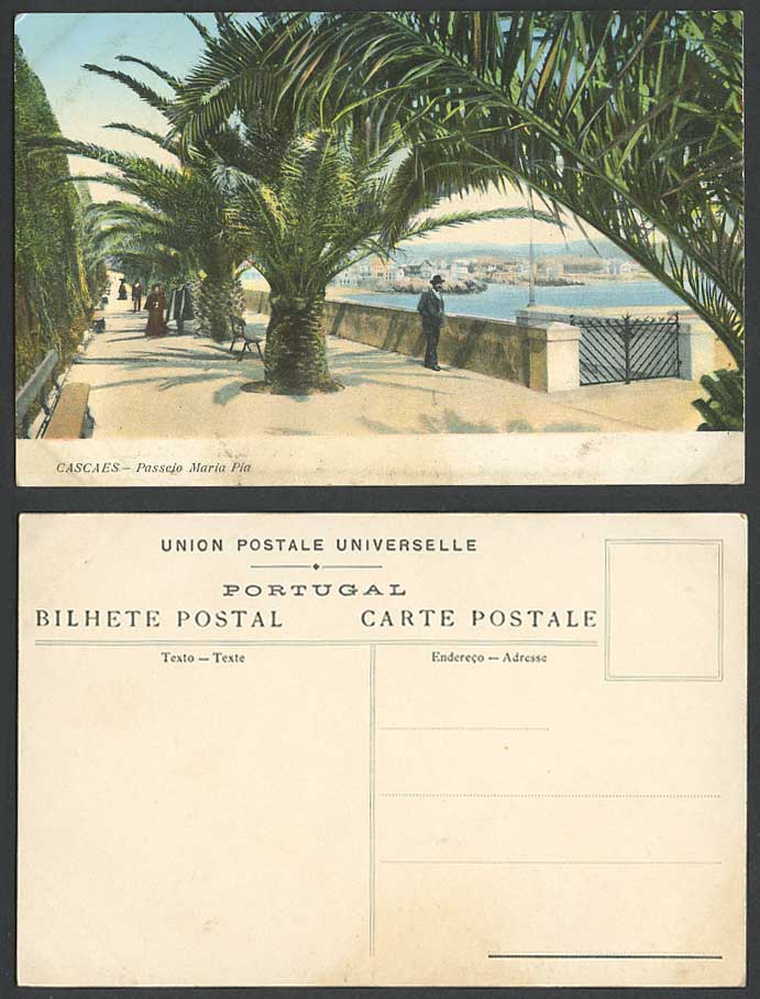 Portugal Old Colour Postcard CASCAES Passeio Maria Pia Street Scene & Palm Trees