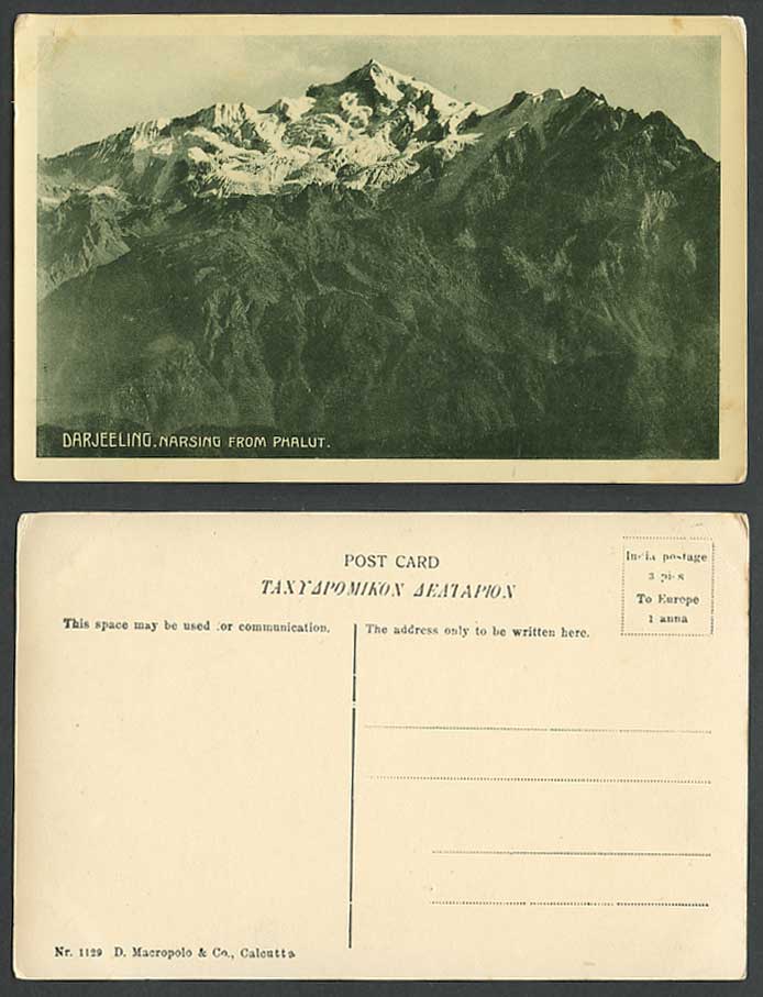 India Old Postcard Darjeeling NARSING from PHALUT Snowy Mountains D Macropolo Co