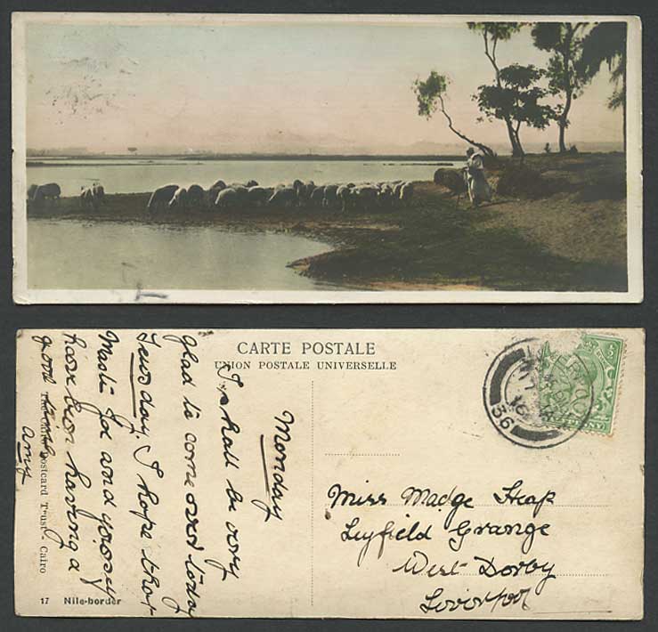 Egypt 1916 Old RP Postcard Nile Border River Scene Sheep Shepherd Bookmark Style