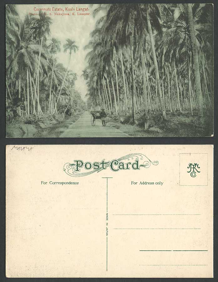 Selangor Kuala Langat, Cocoanuts Estate Rickshaw Coolie Palm Trees Old Postcard