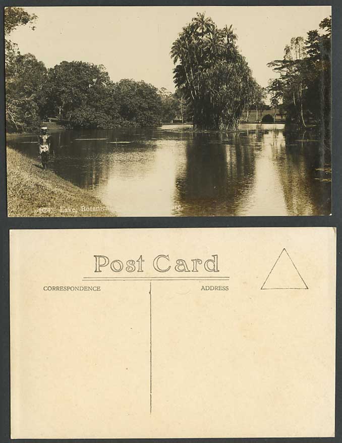 Singapore Old Real Photo Postcard A Native Man by Lake, Botanic Botanical Garden