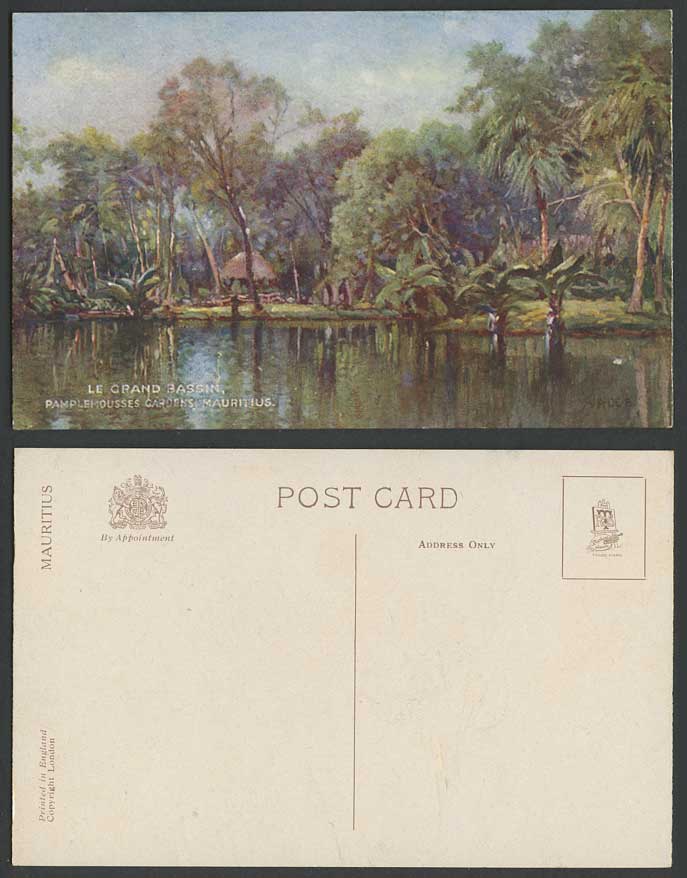 Mauritius Old ART Postcard Le Grand Bassin Pamplemousses Gardens Botanic Garden