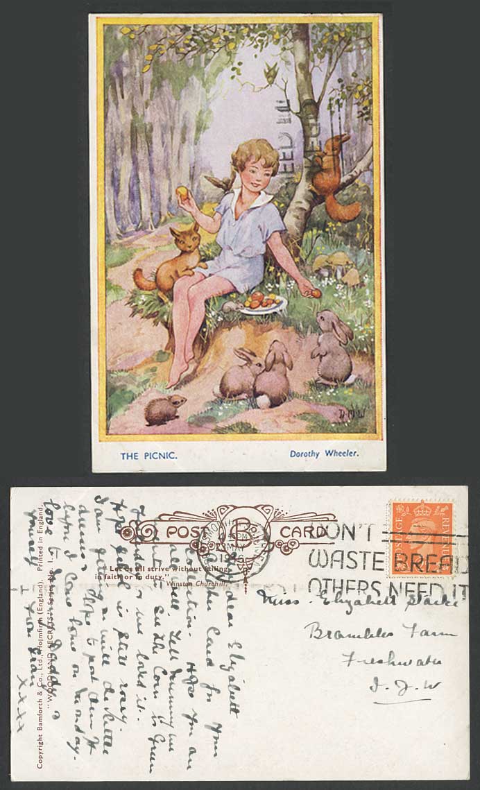 Dorothy Wheeler DMW 1946 Old Postcard The Picnic, Rabbits Fox, Don't Waste Bread