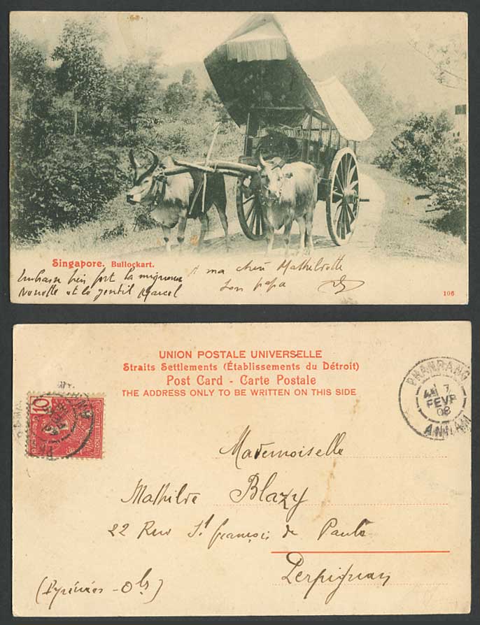 Singapore Indo-China 10c 1908 Old Postcard Native Malay Double Bullock Cart Bull