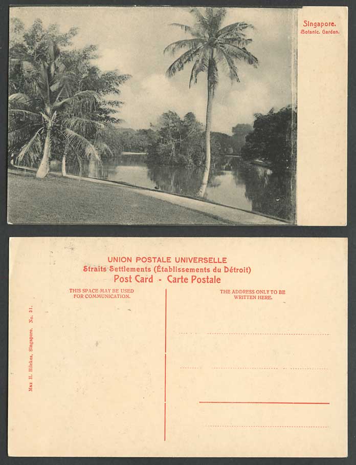 Singapore Old Postcard Botanic Garden Palm Trees Botanical Gardens Lake or River