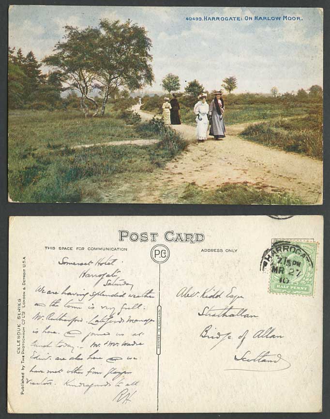 Harrogate Women Ladies on Harlow Moor 1910 Old Colour Postcard Yorkshire N.40499