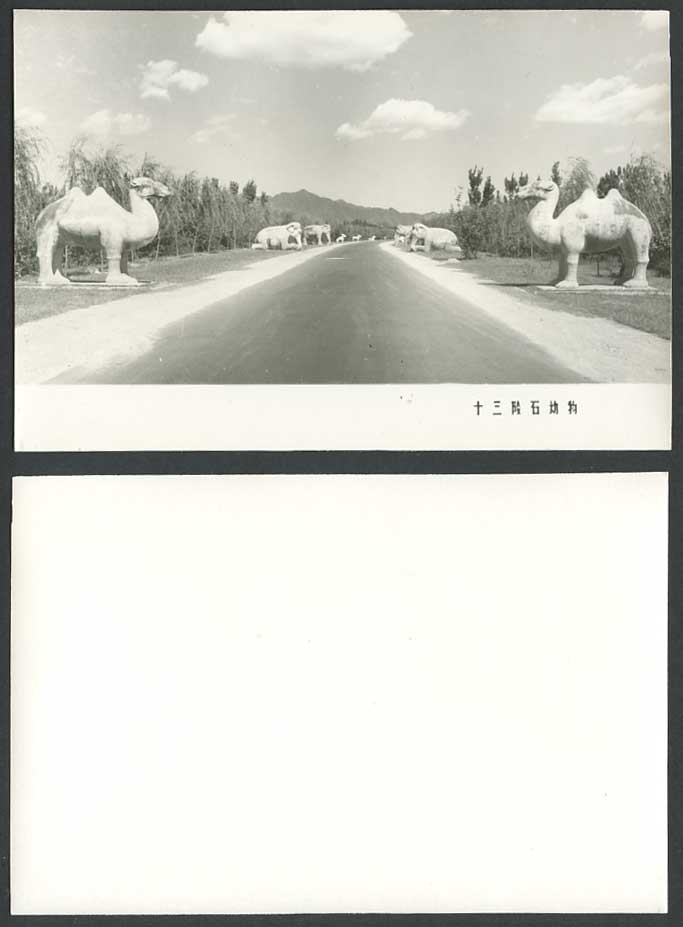 China c.1950 Old Real Photo Card Ming Tombs Stone Animal Camels Elephant Beijing