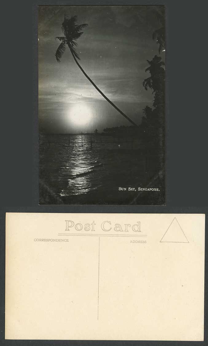 Singapore Sunset Old Real Photo Postcard Palm Trees Seaside, Coast, Sea, Sun Set