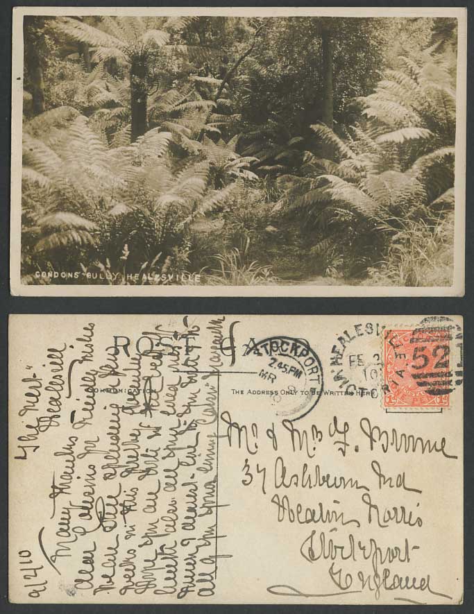 Australia Vic QV 1d 1910 Old Postcard Condon's Gully HEALESVILLE Ferns Fern Tree